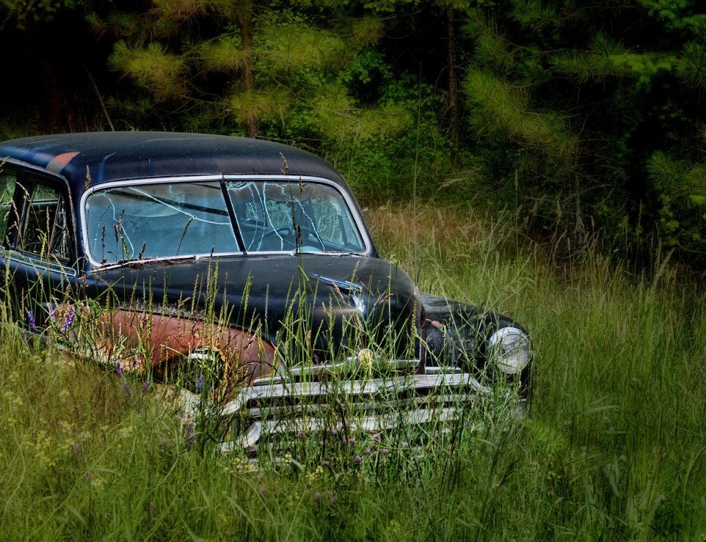 cadillac, weeds, old car-4819422.jpg